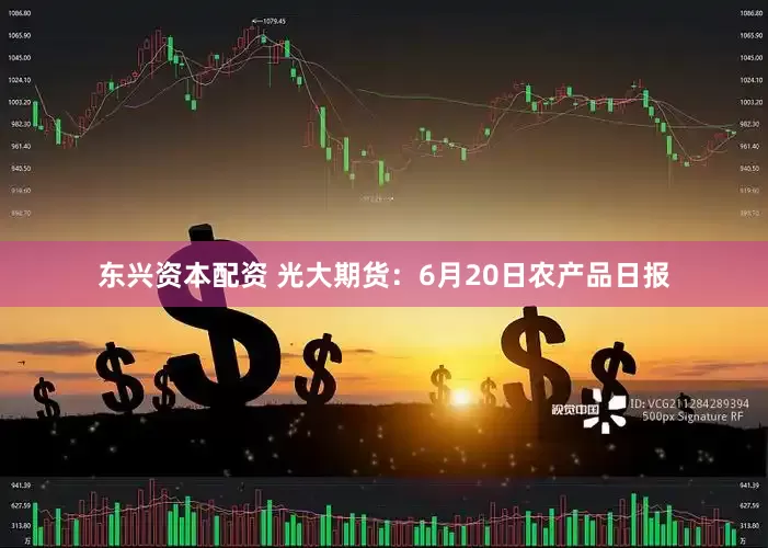 东兴资本配资 光大期货：6月20日农产品日报