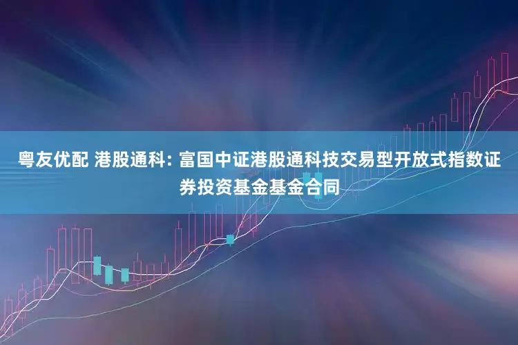 粤友优配 港股通科: 富国中证港股通科技交易型开放式指数证券投资基金基金合同