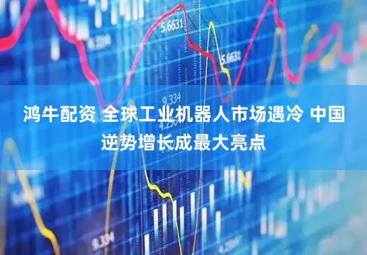 鸿牛配资 全球工业机器人市场遇冷 中国逆势增长成最大亮点