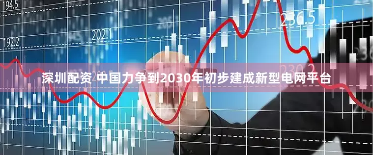 深圳配资 中国力争到2030年初步建成新型电网平台